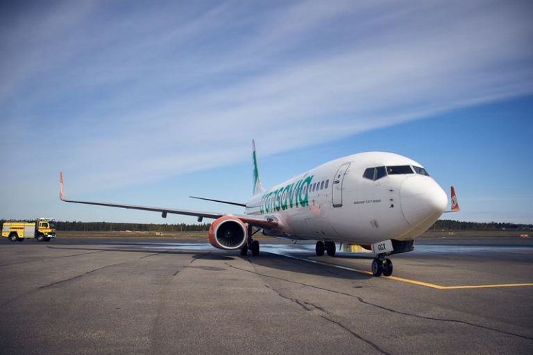 908520c4b6e56daf_800x800ar