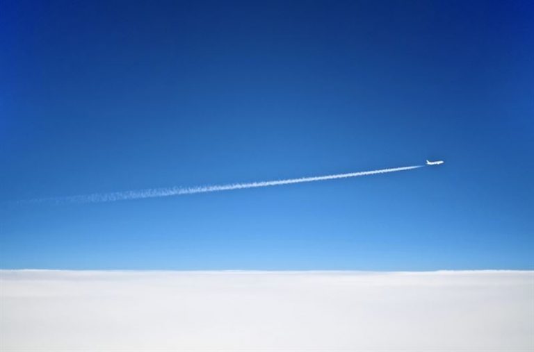 a3c2b34297cb071a_800x800ar